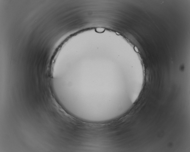 X0000115841068200912242012