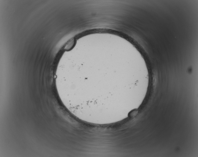 X0000115841069200912242012