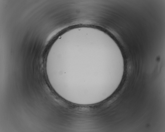 X0000115841070200912242012