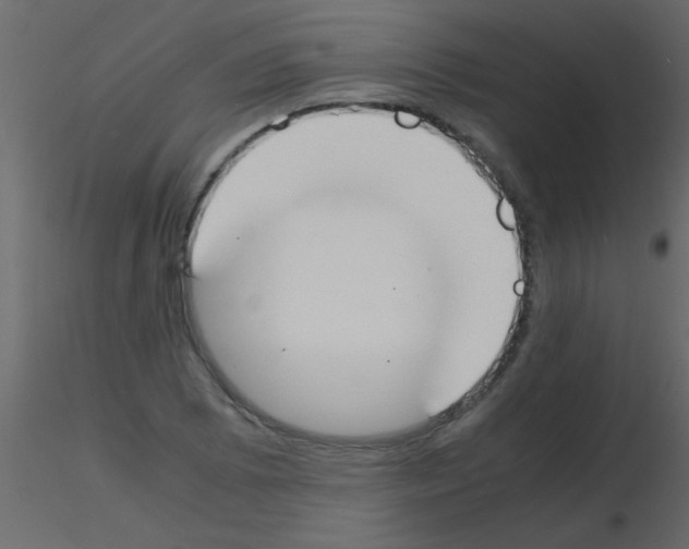 X0000115841073200912242012