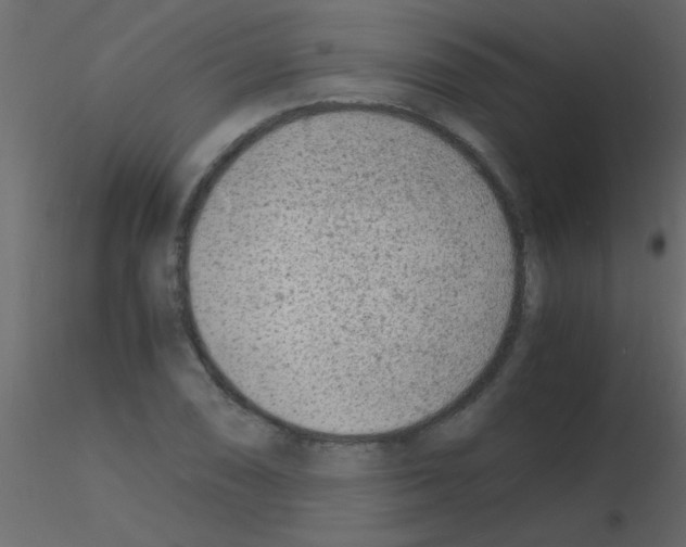 X0000115841074200912242012