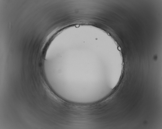 X0000115841075200912242012