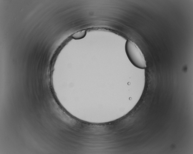 X0000115841076200912242012