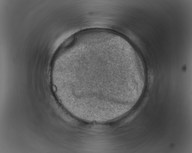 X0000115841077200912242012