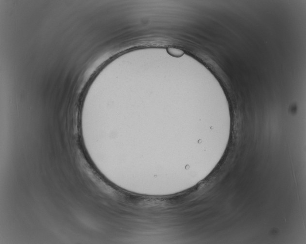 X0000115841083200912242012