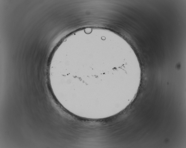 X0000115841085200912242012