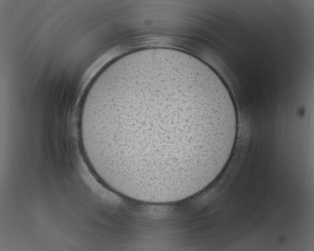 X0000115841090200912242012