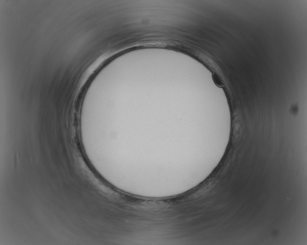 X0000115841091200912242012