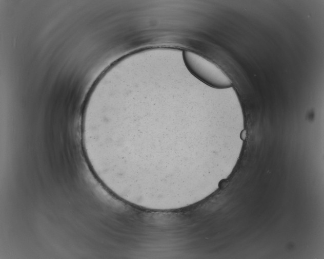 X0000115841092200912242012