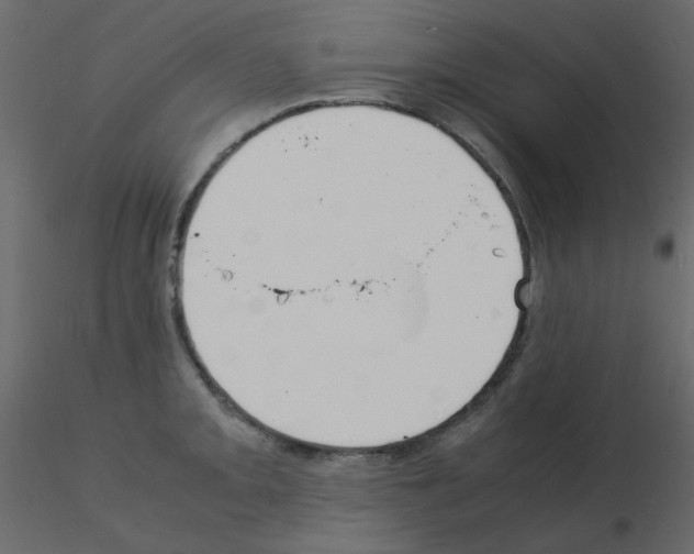 X0000115841093200912242012