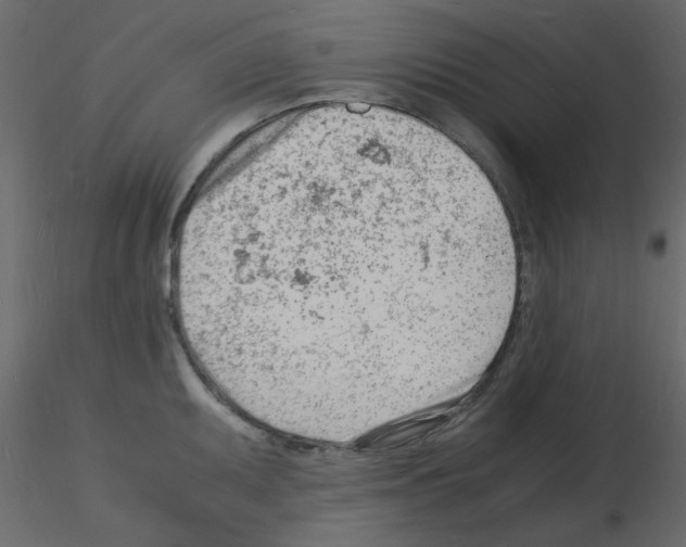 X0000115841095200912242011