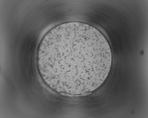 X0000115841096200912242011