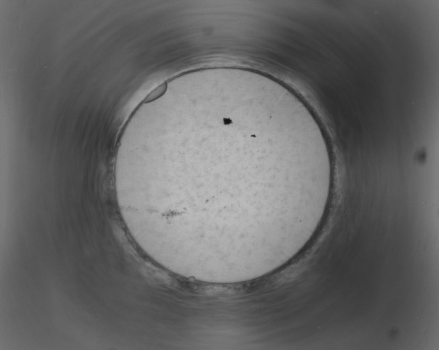 X0000115841097200912242011