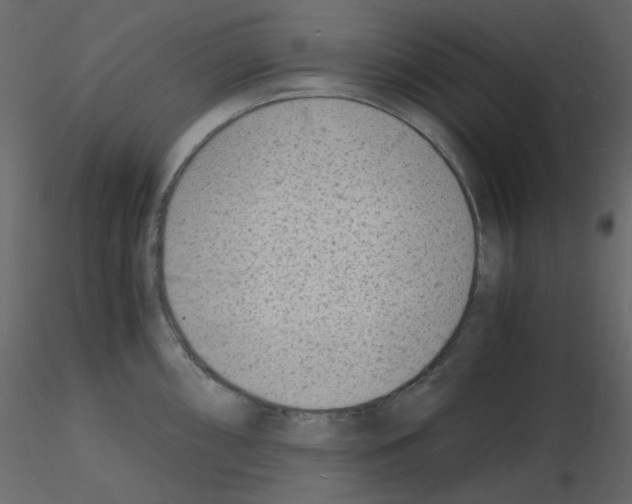 X0000115841098200912242011