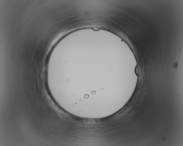 X0000115841099200912242011