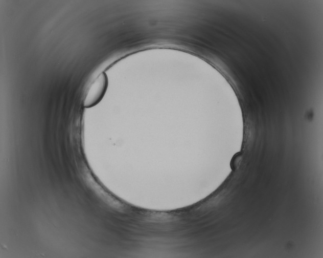 X0000115841100200912242011