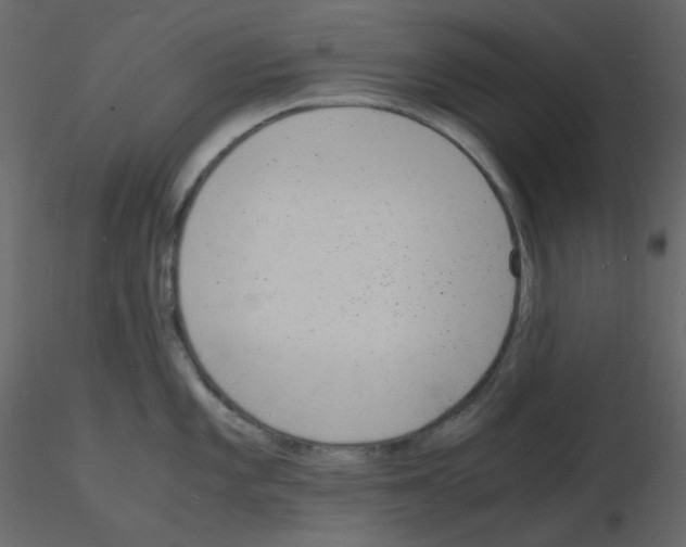 X0000115841101200912242011