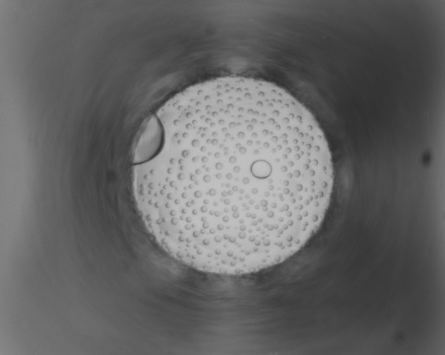 X0000115841105200912242011