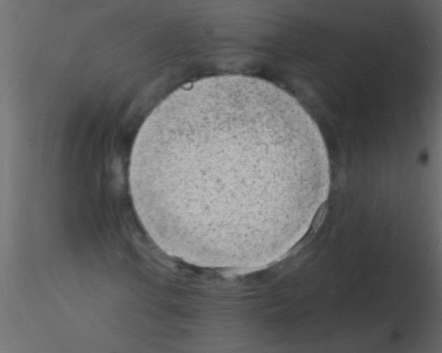 X0000115841106200912242011