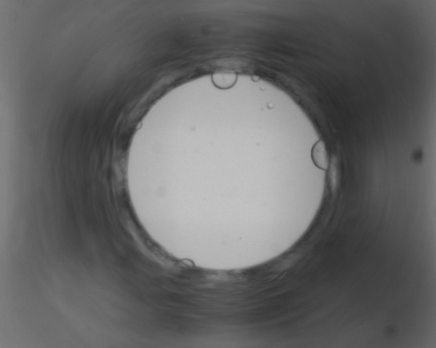 X0000115841107200912242011