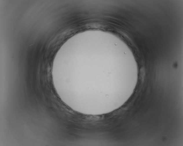 X0000115841111200912242011