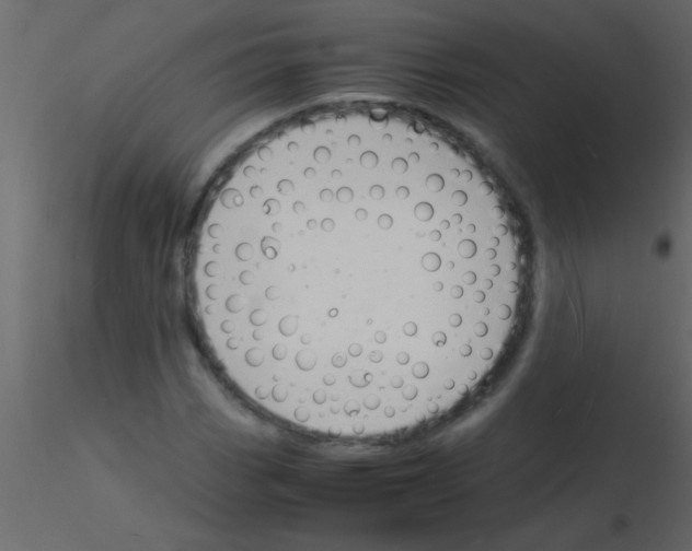 X0000115841113200912242011