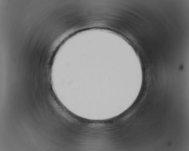 X0000115841118200912242011