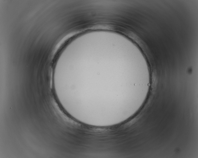 X0000115841123200912242011