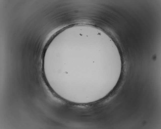 X0000115841125200912242011