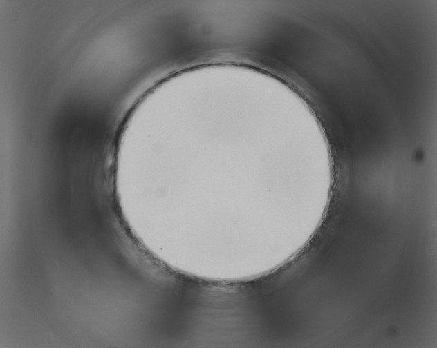 X0000115841126200912242011