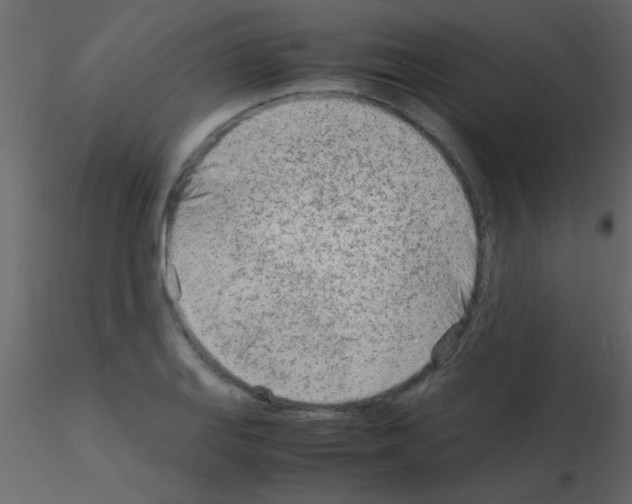 X0000115841127200912242011