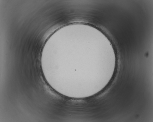 X0000115841129200912242011