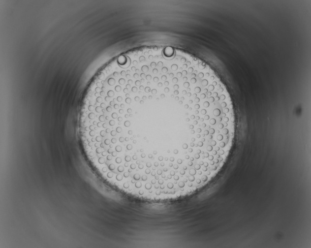 X0000115841130200912242011