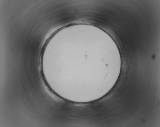 X0000115841131200912242011