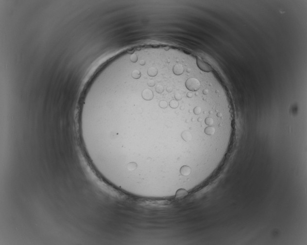 X0000115841133200912242011