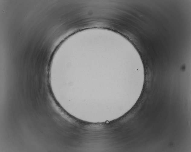 X0000115841134200912242011