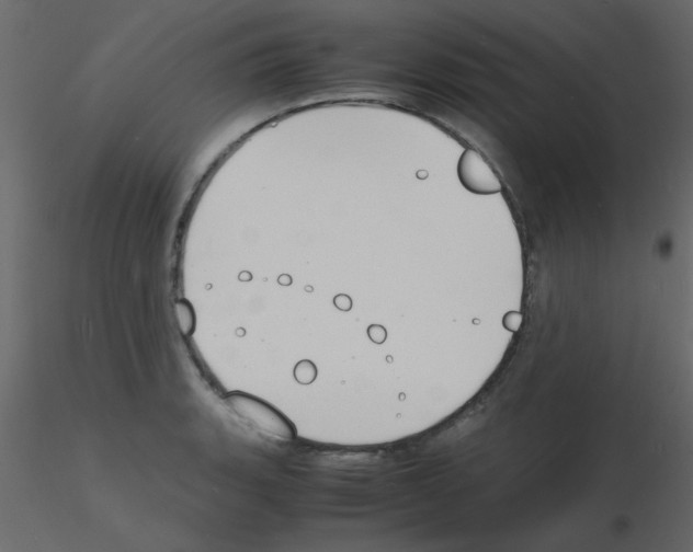 X0000115841135200912242011