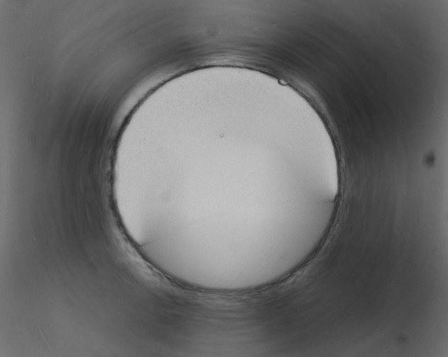 X0000115841138200912242011