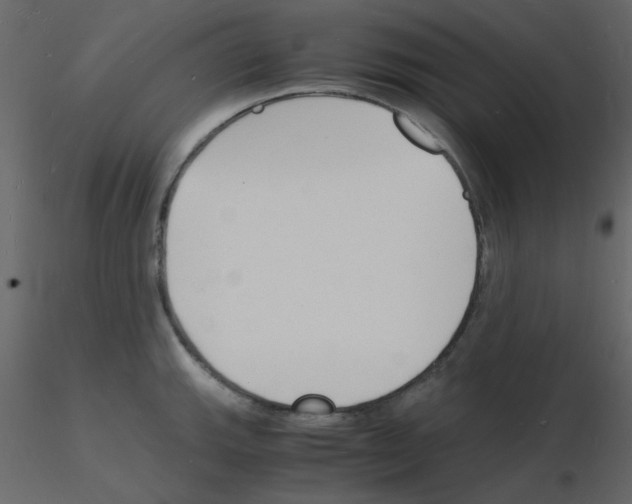 X0000115841143200912242011