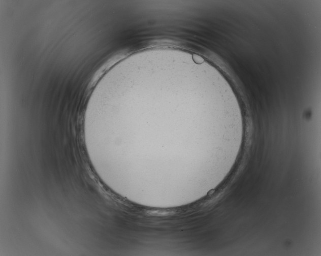 X0000115841145200912242011