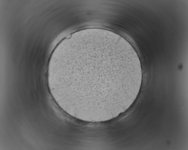 X0000115841146200912242011