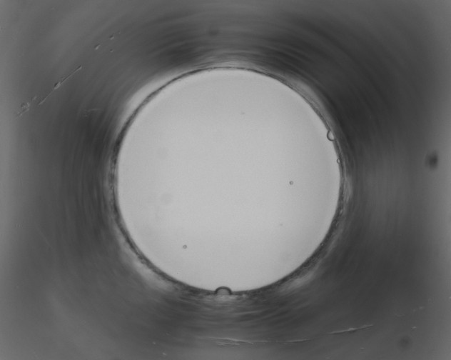 X0000115841149200912242011