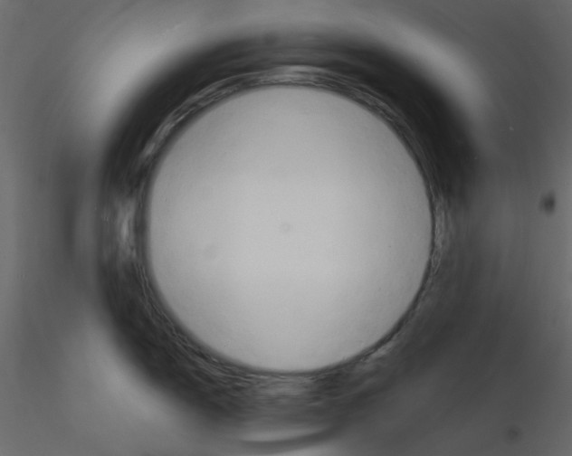 X0000115841150200912242011