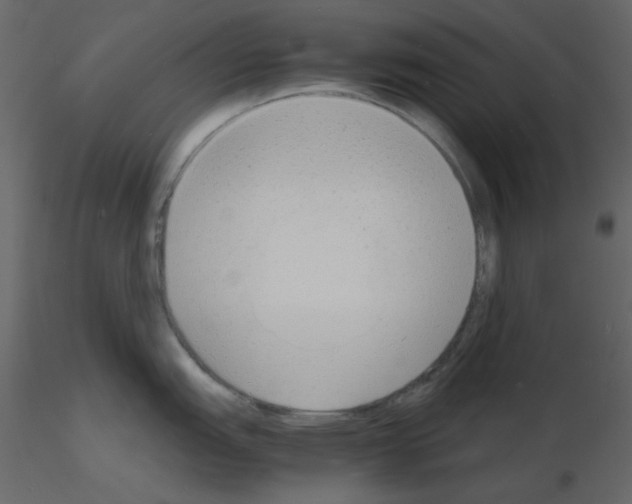 X0000115841151200912242011