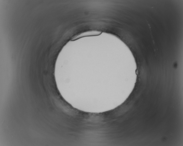 X0000115841153200912242011