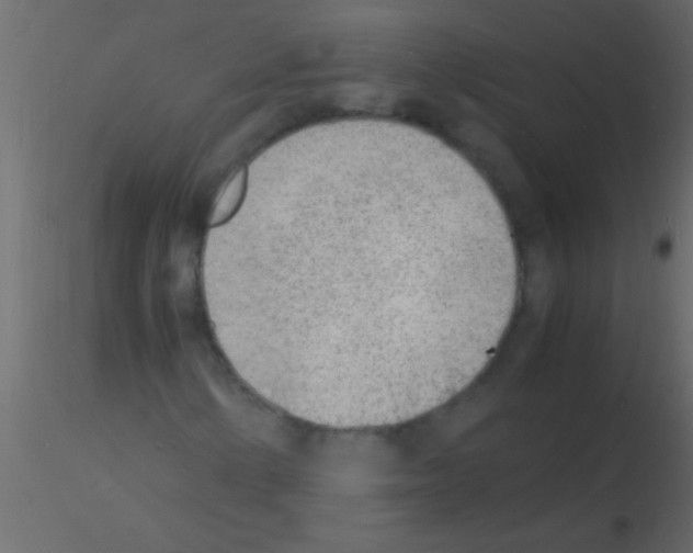 X0000115841154200912242011