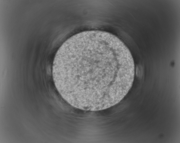 X0000115841155200912242011