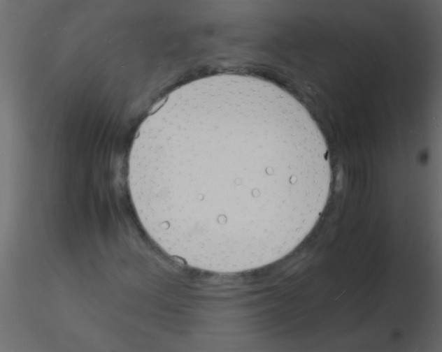 X0000115841156200912242011