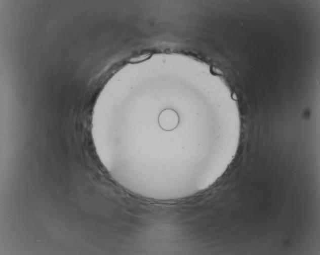 X0000115841157200912242011