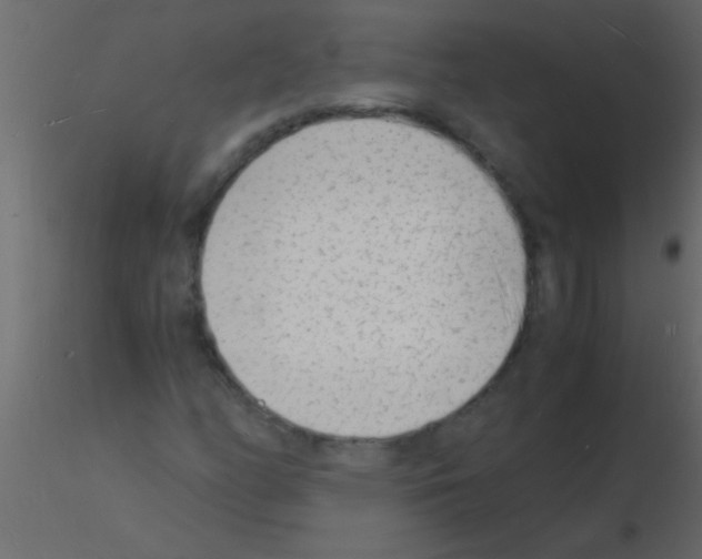 X0000115841158200912242011